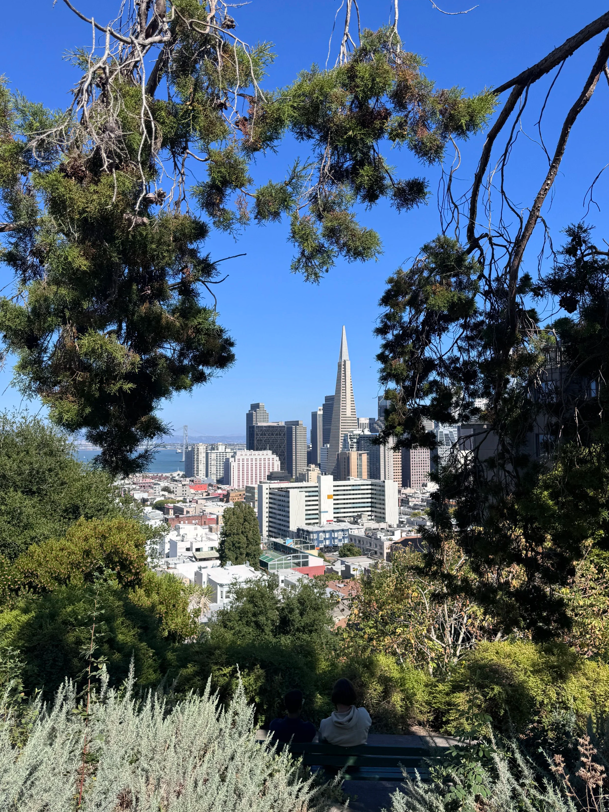 San+Francisco_1463.png