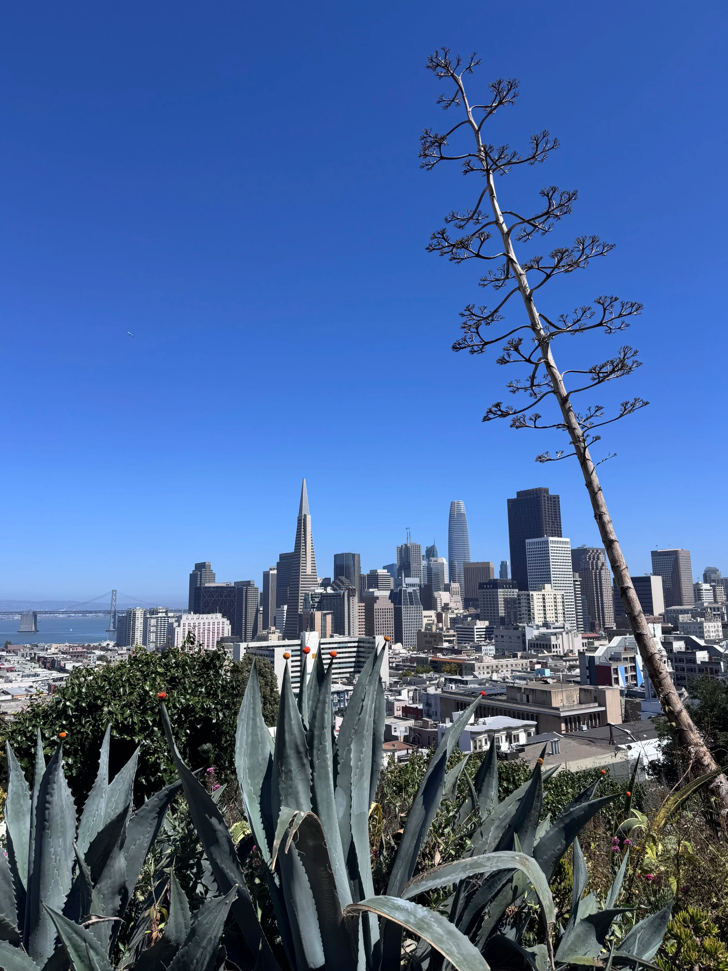 San+Francisco_1658.png
