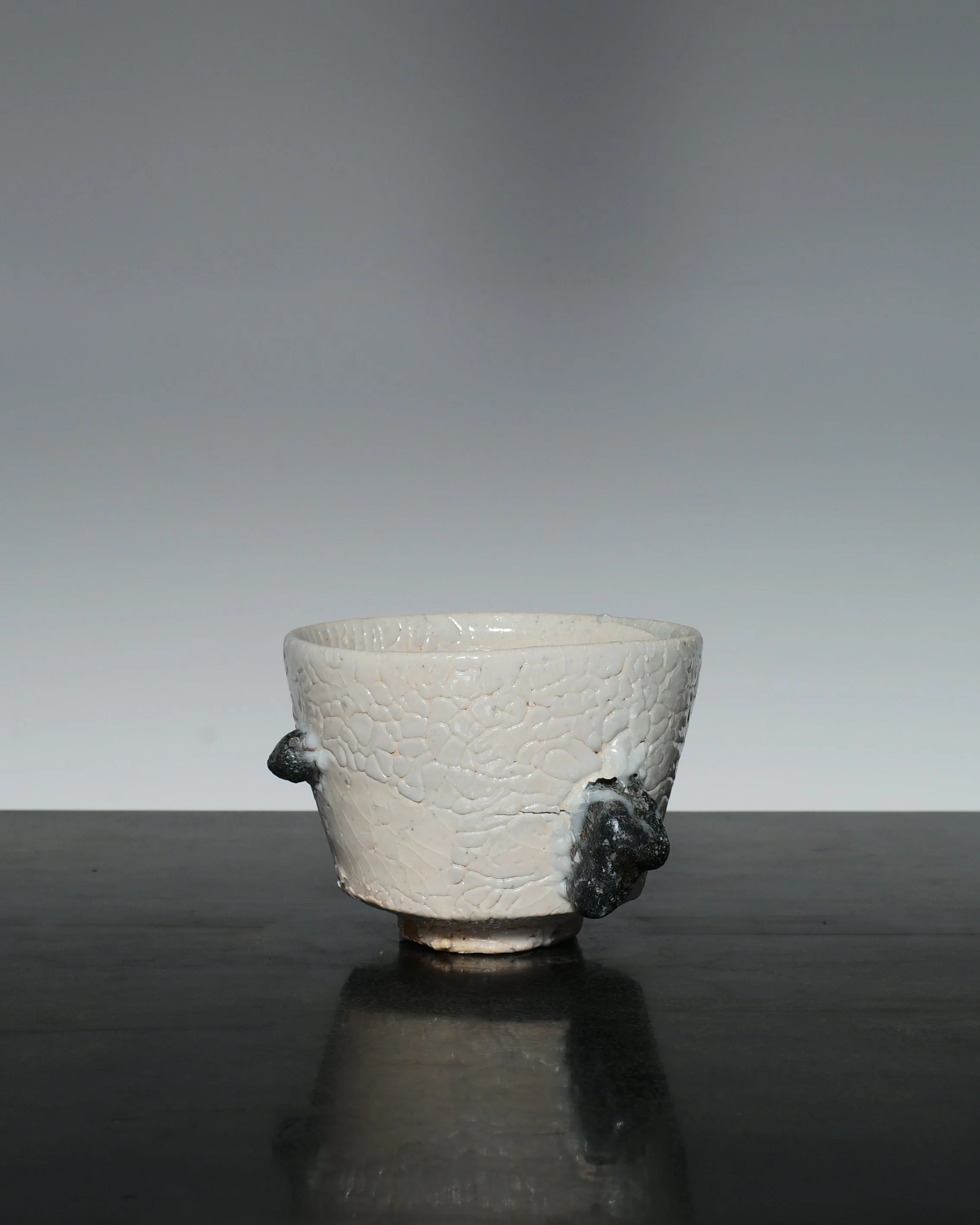 L1005244_Juba_tenshin.jpg