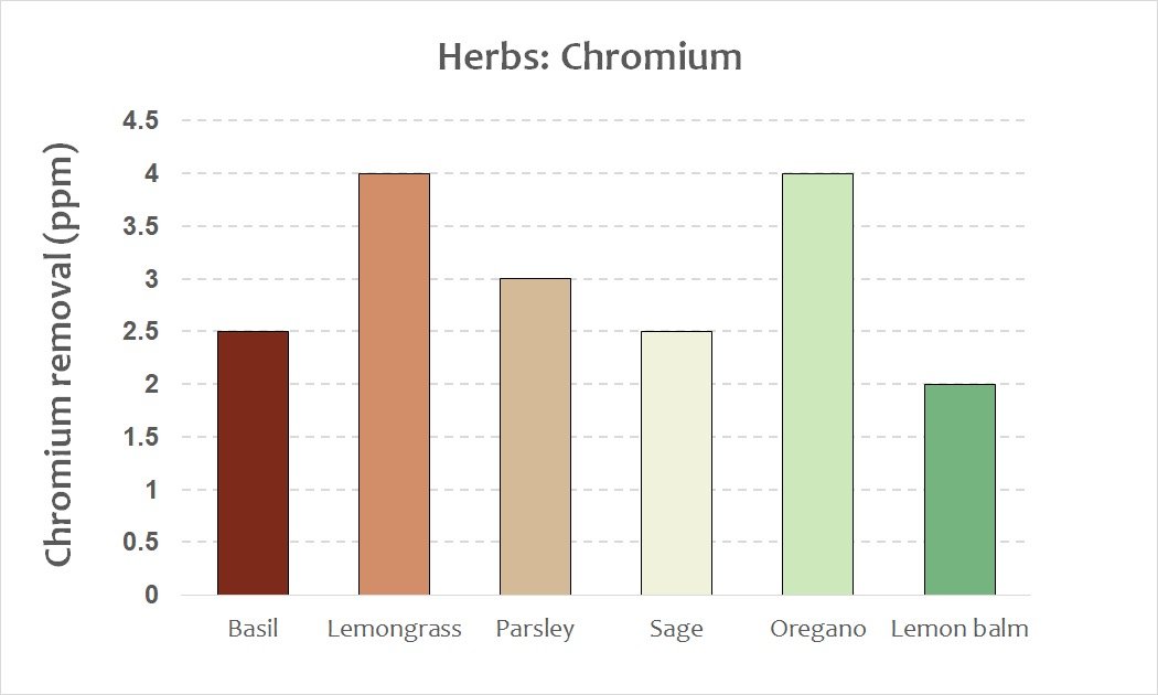 herbs - chromium.jpeg