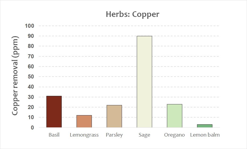 herbs - copper.jpeg