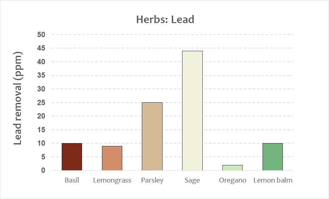 herbs - lead.jpeg
