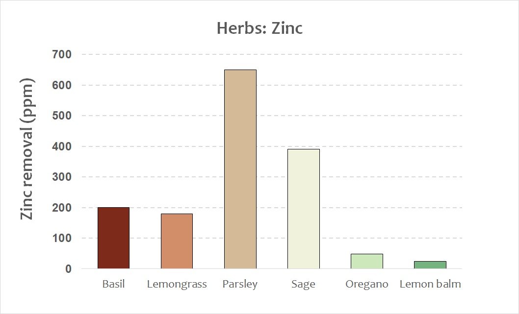herbs - zinc.jpeg
