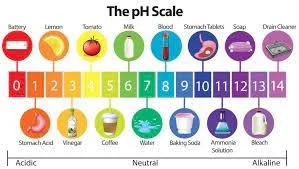 Coffee Acidity Levels
