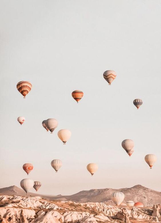 hot air balloon.jpeg