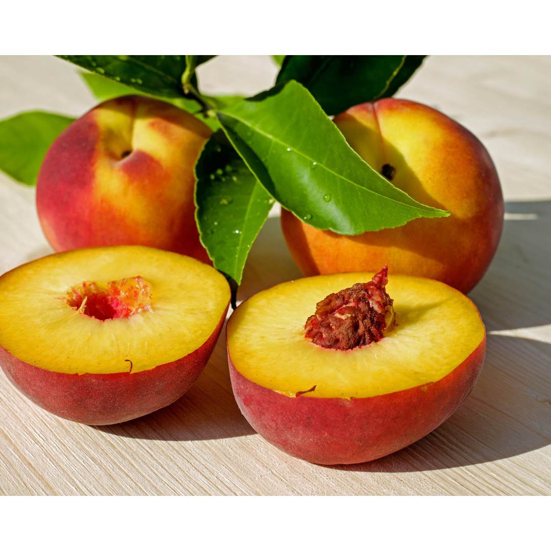 74138D73-BA33-4F08-9BA4-2A3548AEE621.png
