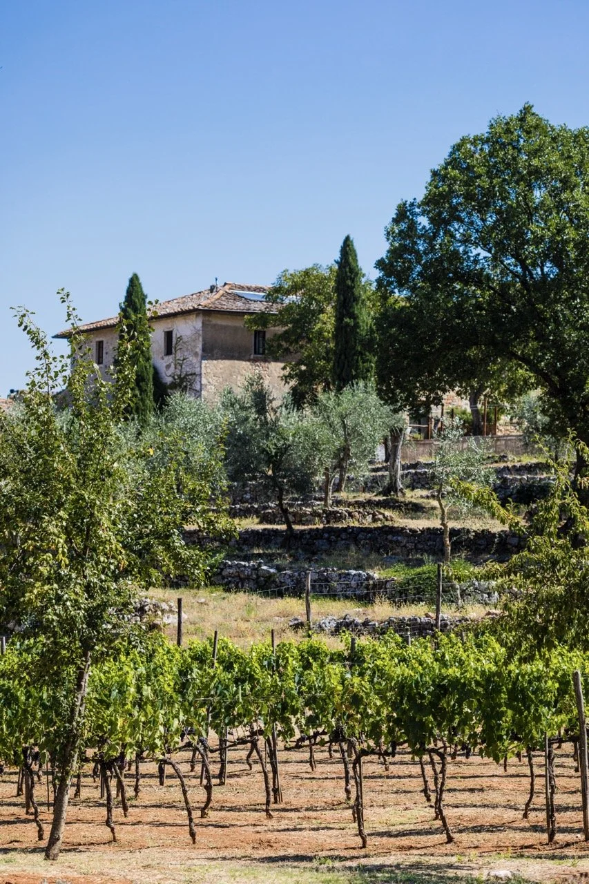 Ebbio2020©RomainRicard-131 Large.jpeg