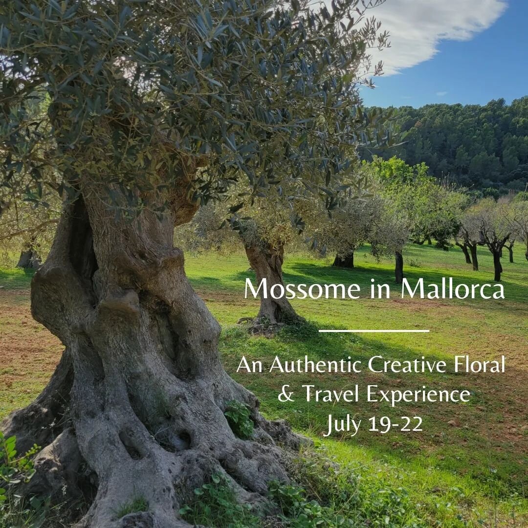 Travel with Mossome Floral to the beautiful, historic island of Mallorca for an authentic creative floral &amp; travel experience, July 19-22.&nbsp; Limited to just 8 participants.&nbsp; 
Scroll through for more information &amp; email mossomefloral@