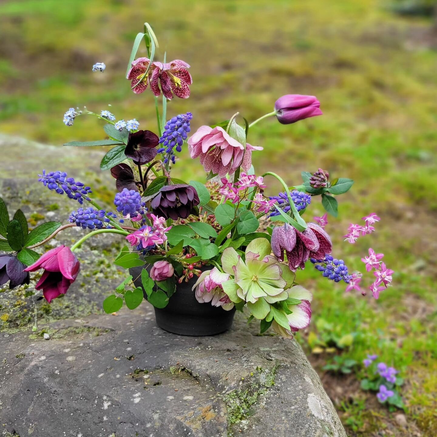 The moodier side of Spring today, down in the moss garden.  Fritillaria, 3 types of hellebore, muscari, honeysuckle buds, epimedium, tulips and viburnum all in a @blackwingclay bowl.  Nothing makes me happier than getting to design with what's growin