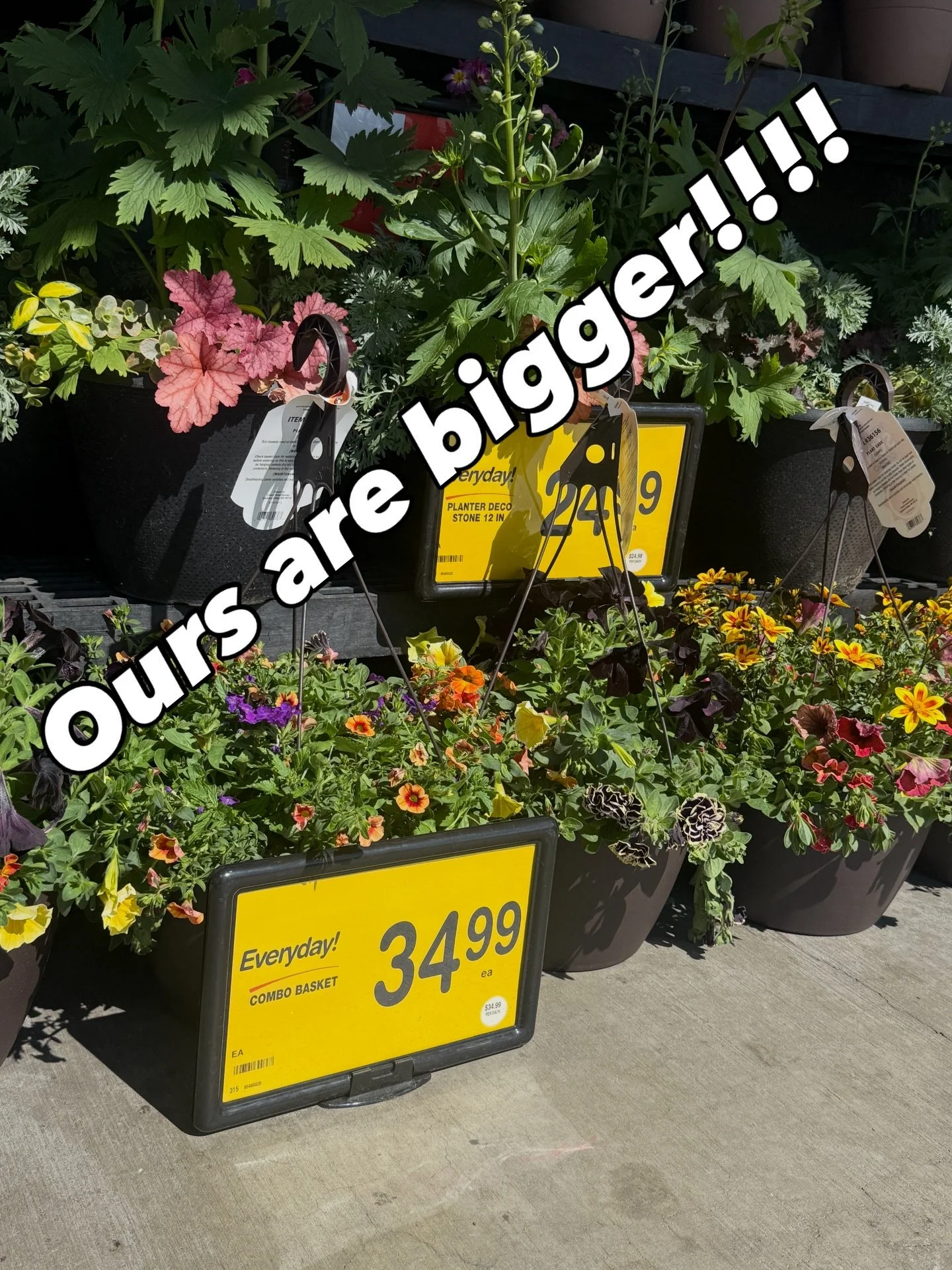 Ours are bigger!!!

Found these at a local grocery store&hellip;

You won&rsquo;t be disappointed with your flower basket when you purchase through our fundraiser!

Purchase for $35 here￼ and pick up on May 9: 

https://www.zeffy.com/en-US/ticketing/