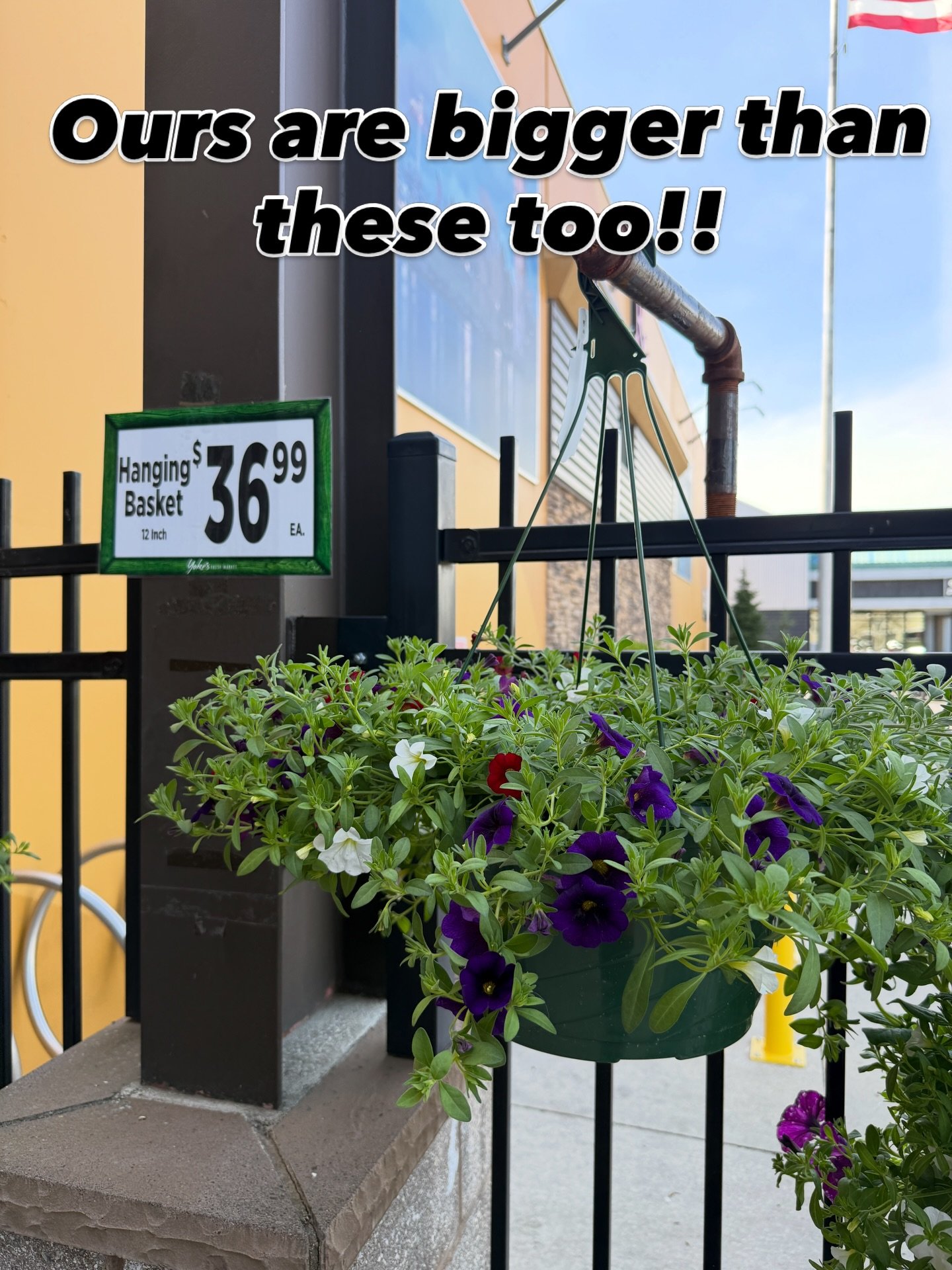 Last year, our flower basket fundraiser was a big success, and we are doing it again!
#$35 to pre-order or $45 on the day of if there are any left.

Purchase at the Bloom &amp; Burn Link

Pick up is on Saturday, May 9 at Big Sky from 4-9

And if you 