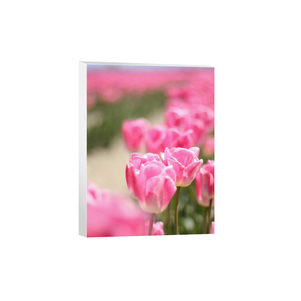 canvas_rectangle3_4_0_169_2646_3528_0_false_ffffff_0_0.png