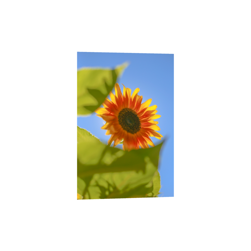 fineartprints_rectangle2_3_0_0_3648_5472_0_false_ffffff_0_0.png