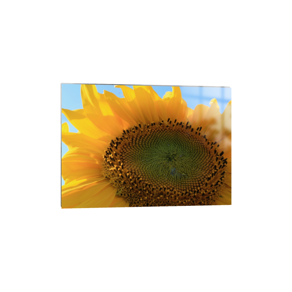 metalprint_rectangle5_7_199_0_3987_2848_0_false_ffffff_0_0.png