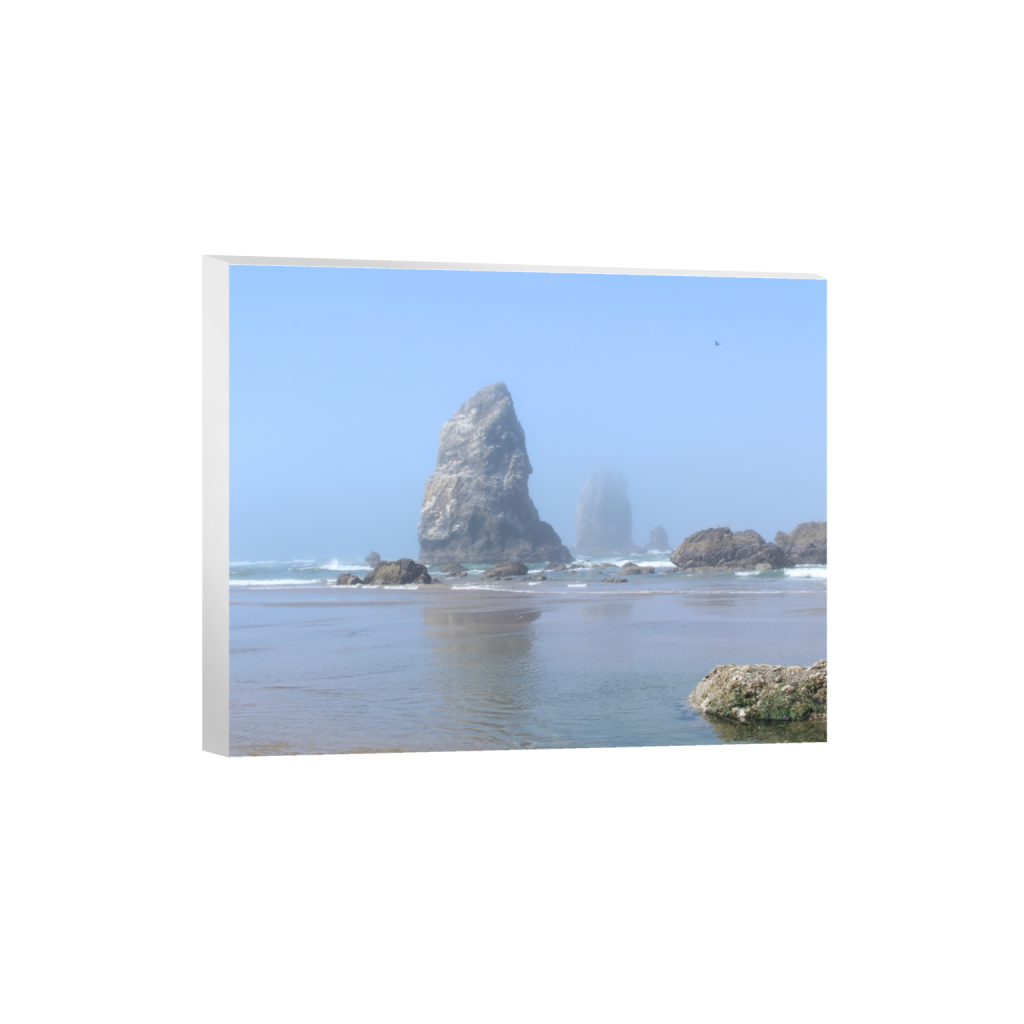 canvas_rectangle4_5_432_0_4320_3456_0_false_ffffff_0_0.png