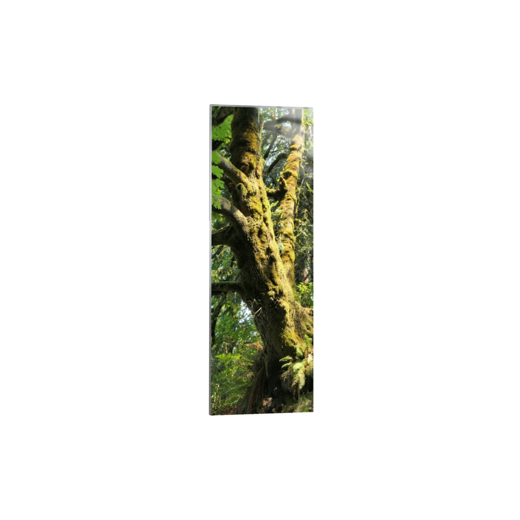 metalprint_rectangle1_3_912_0_1824_5472_0_false_ffffff_0_0.png