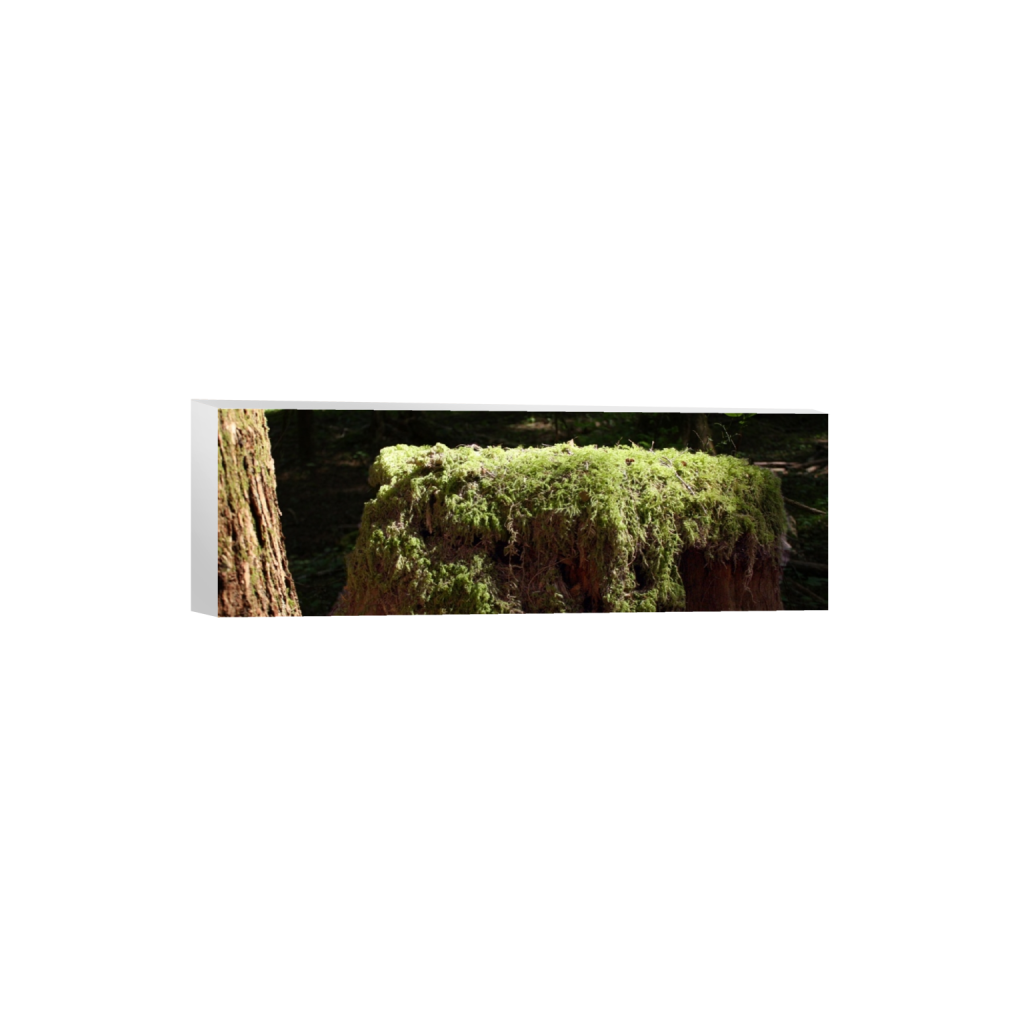 canvas_rectangle1_3_0_897_4272_1424_0_false_ffffff_0_0.png