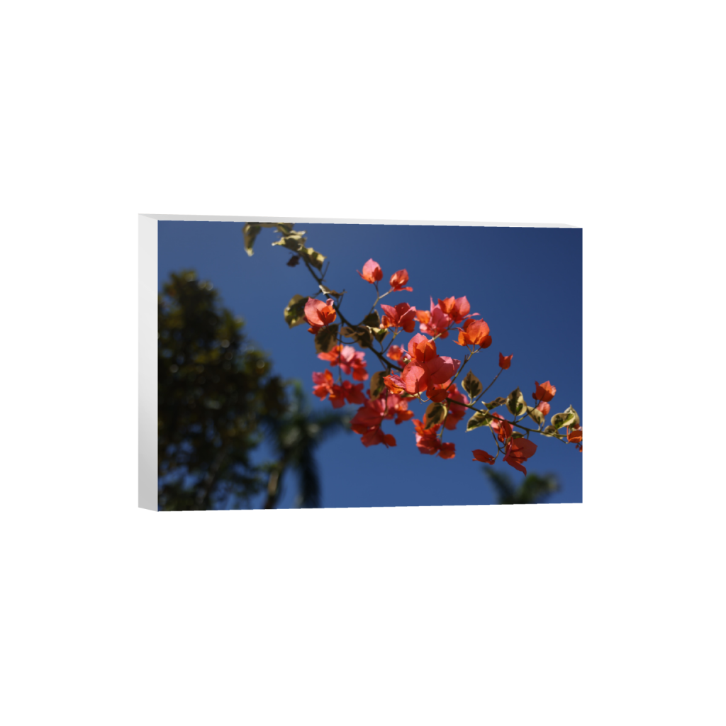 ptq_7_3_0_1_8192_5461_0_false_ffffff_0_0_.png