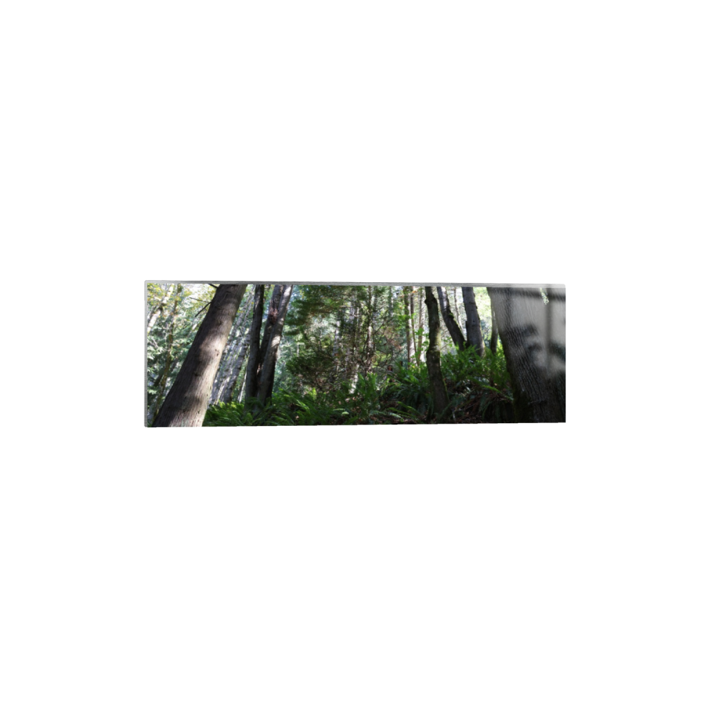 ptq_13_2_0_1366_8192_2730_0_false_ffffff_0_0_.png