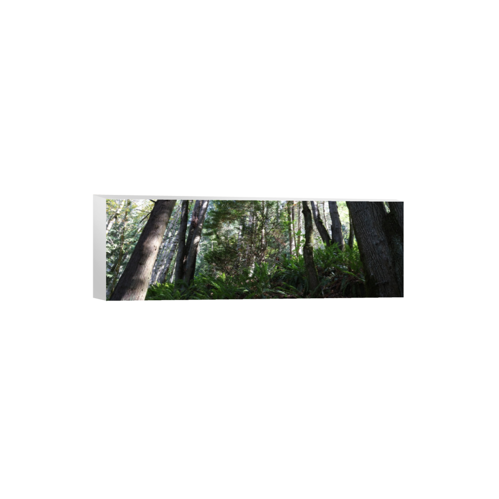 ptq_7_2_0_1366_8192_2730_0_false_ffffff_0_0_.png