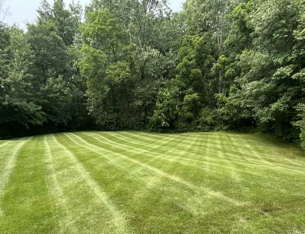 Freshly Mowed Yard.jpeg