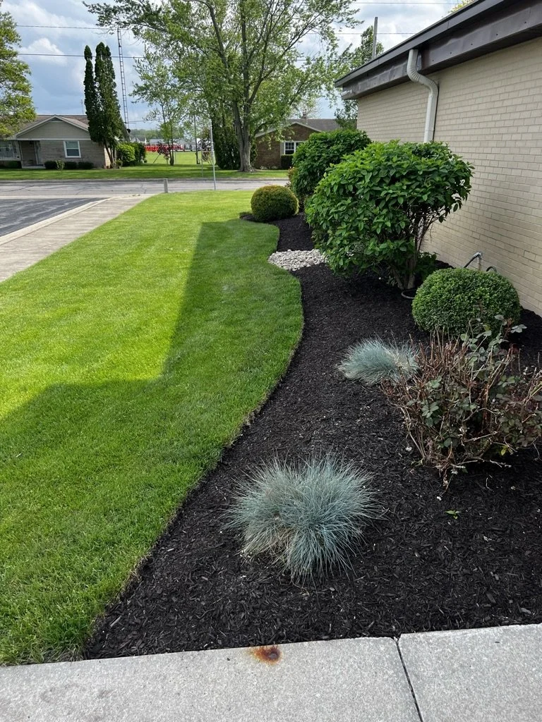 Blog Post Cover.jpeg