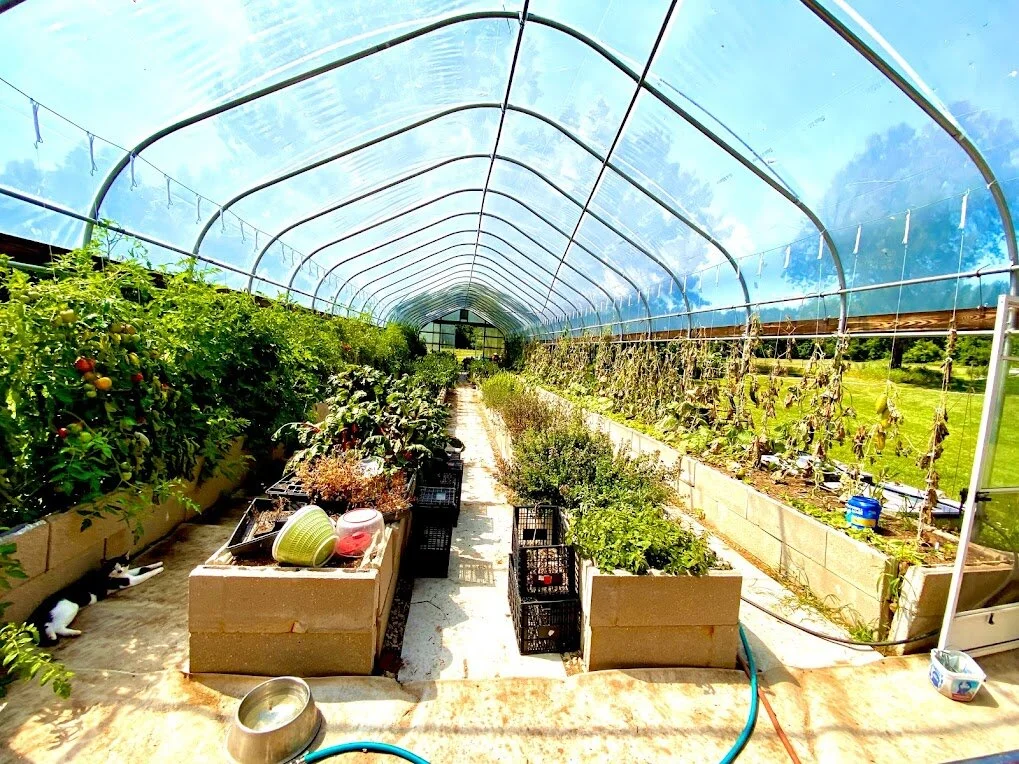 Experiences — Irish Acres Farm Stay