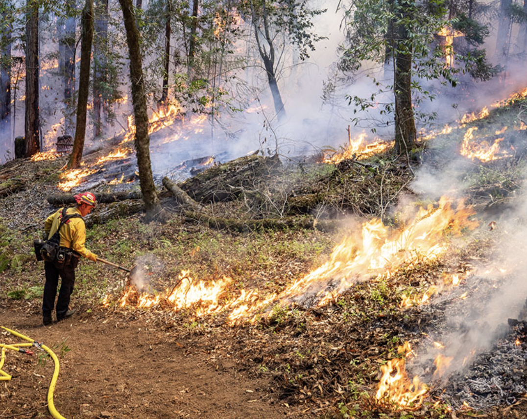 Air quality benefits of prescribed fire