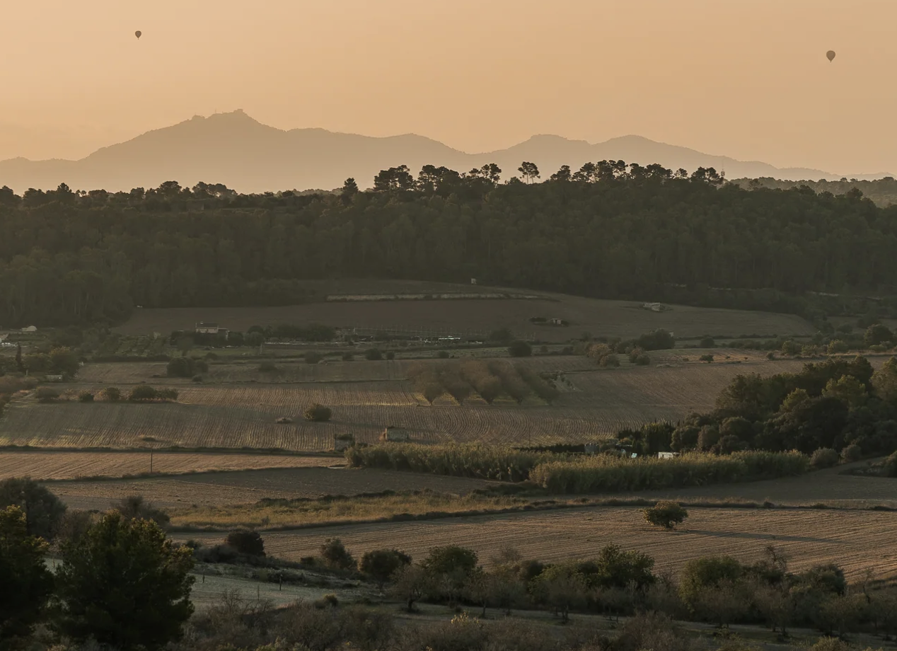 Screenshot 2026-02-24 at 3.53.41 pm.png