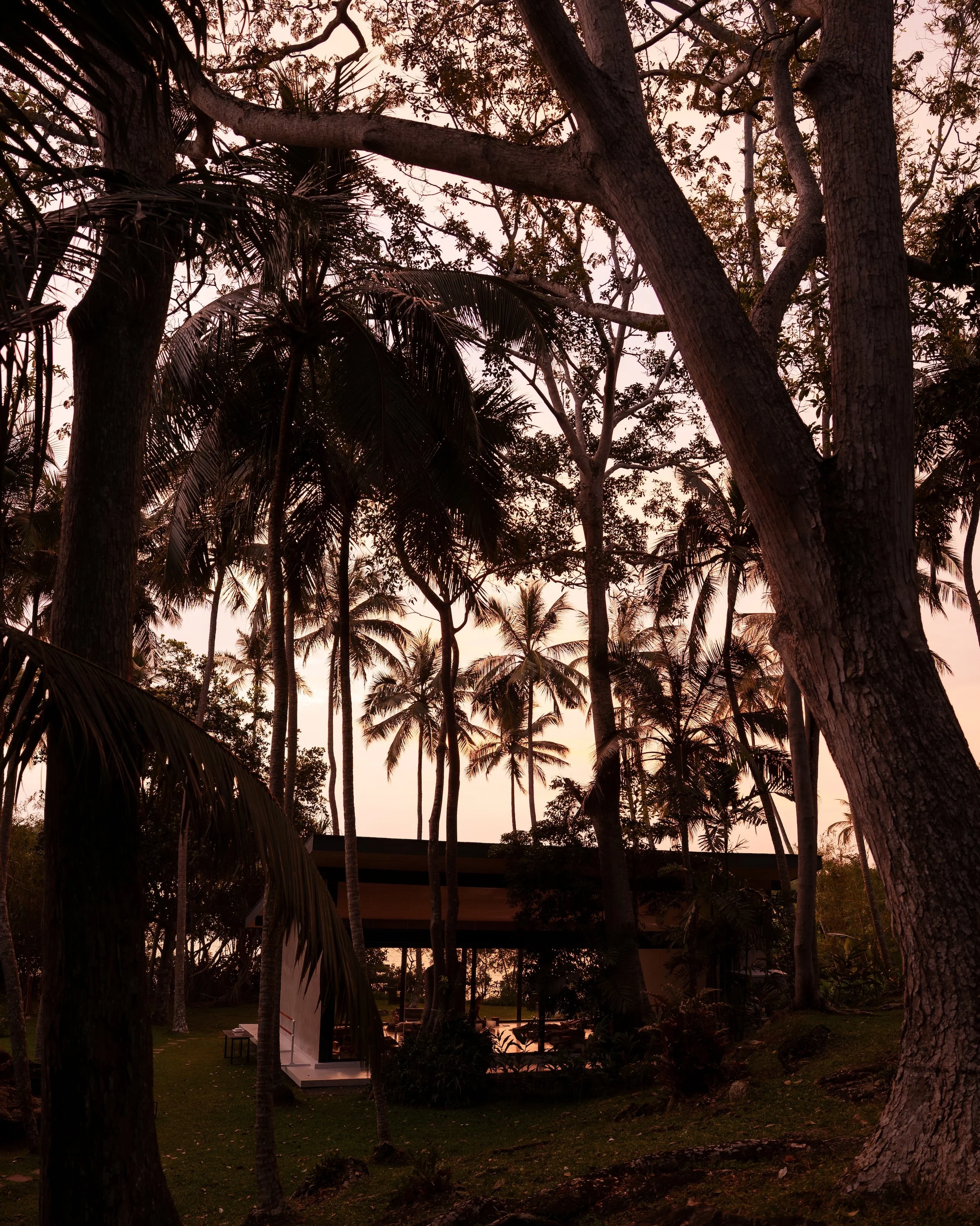 Move, Nourish &amp; Connect in Sri Lanka