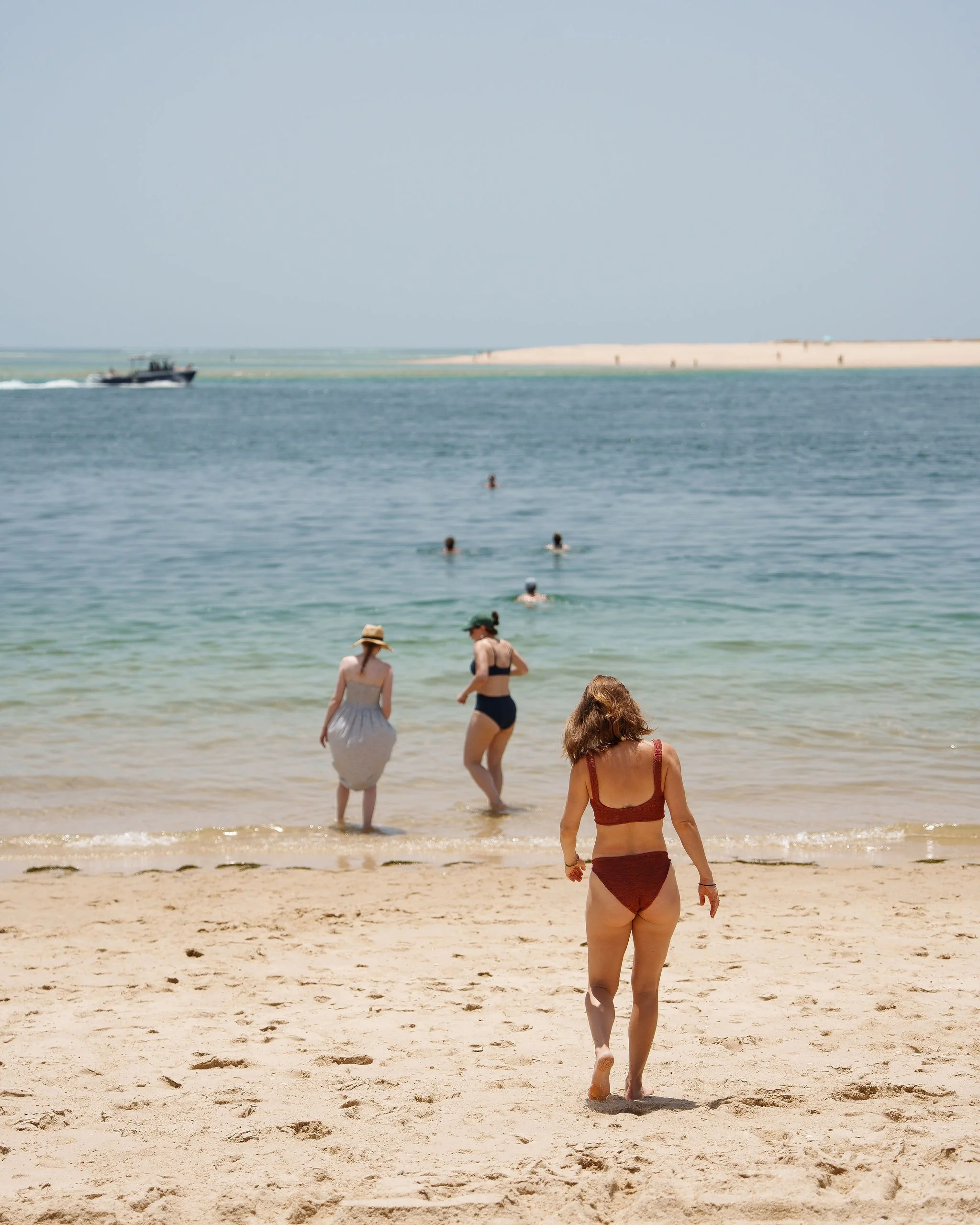 DIP_5010NectarPortugal.jpg