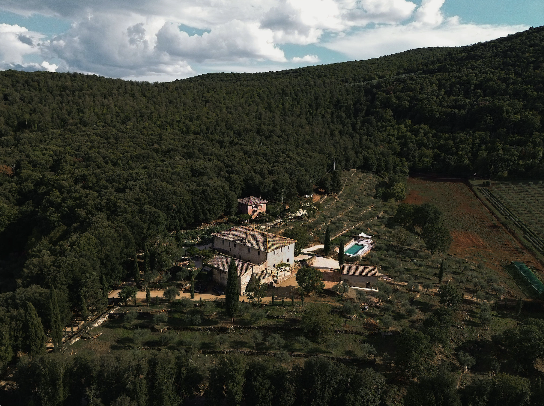 Joy of Summer - A Tuscany Retreat