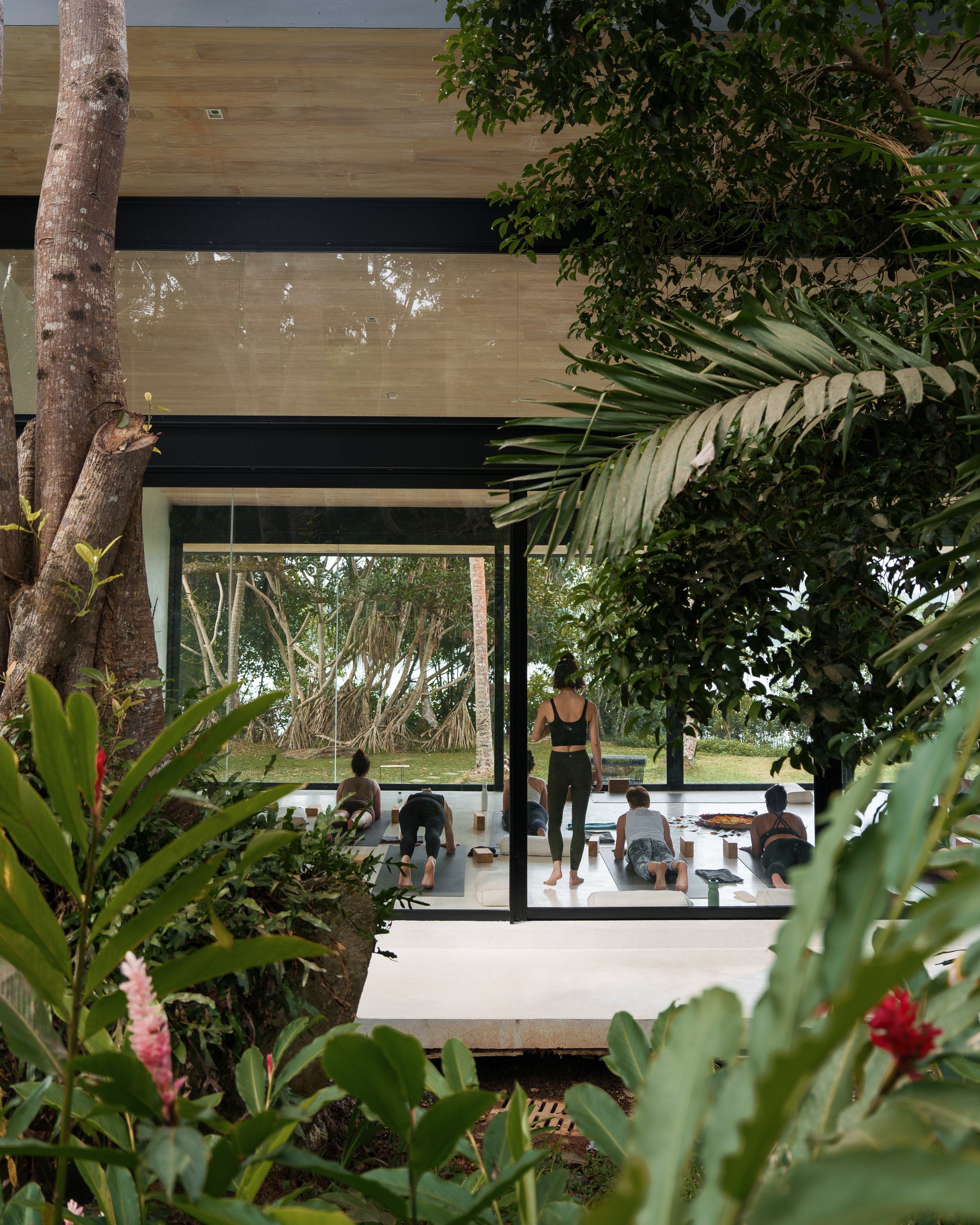 Sri Lanka Yoga Retreat