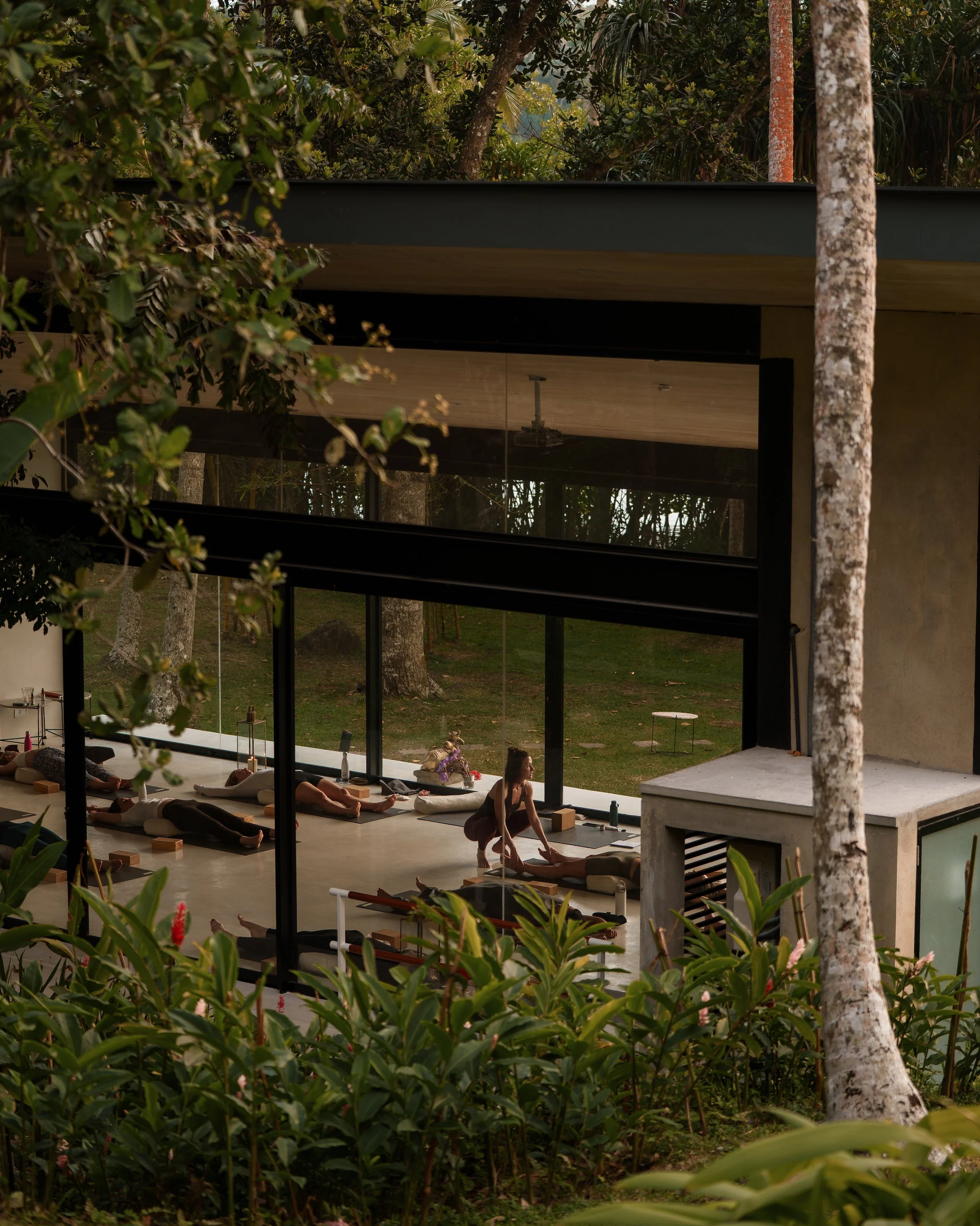 DIP_1202NectarSriLanka.jpg