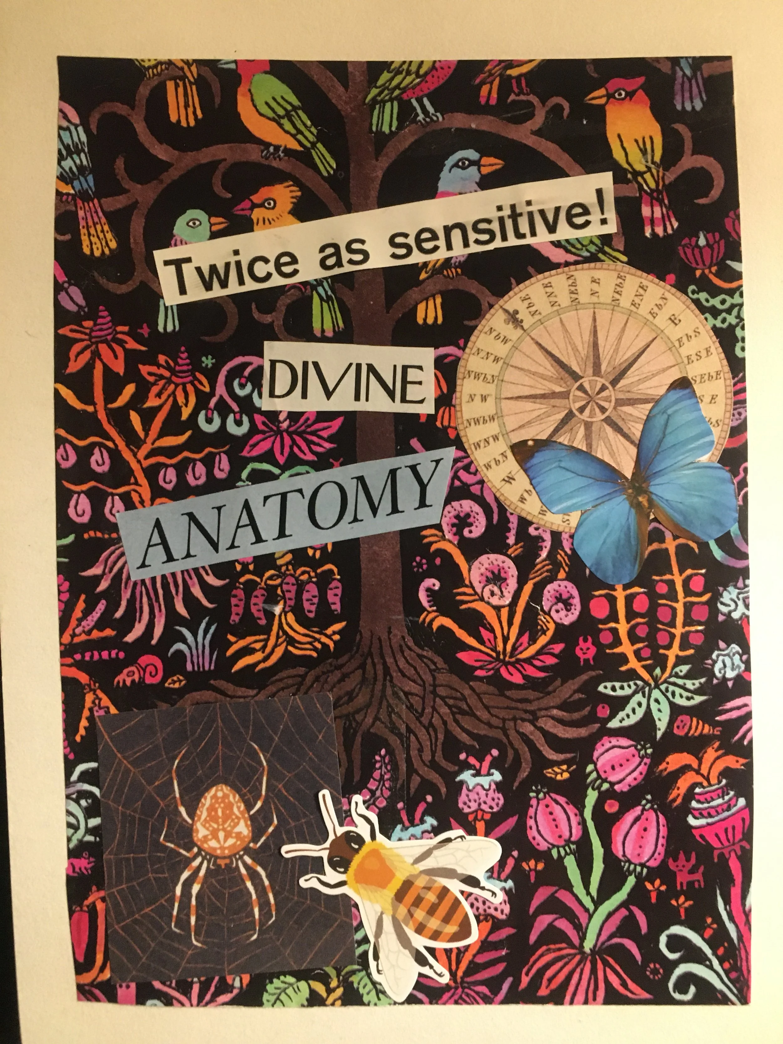 Twice As Sensitive! Divine Anatomy!