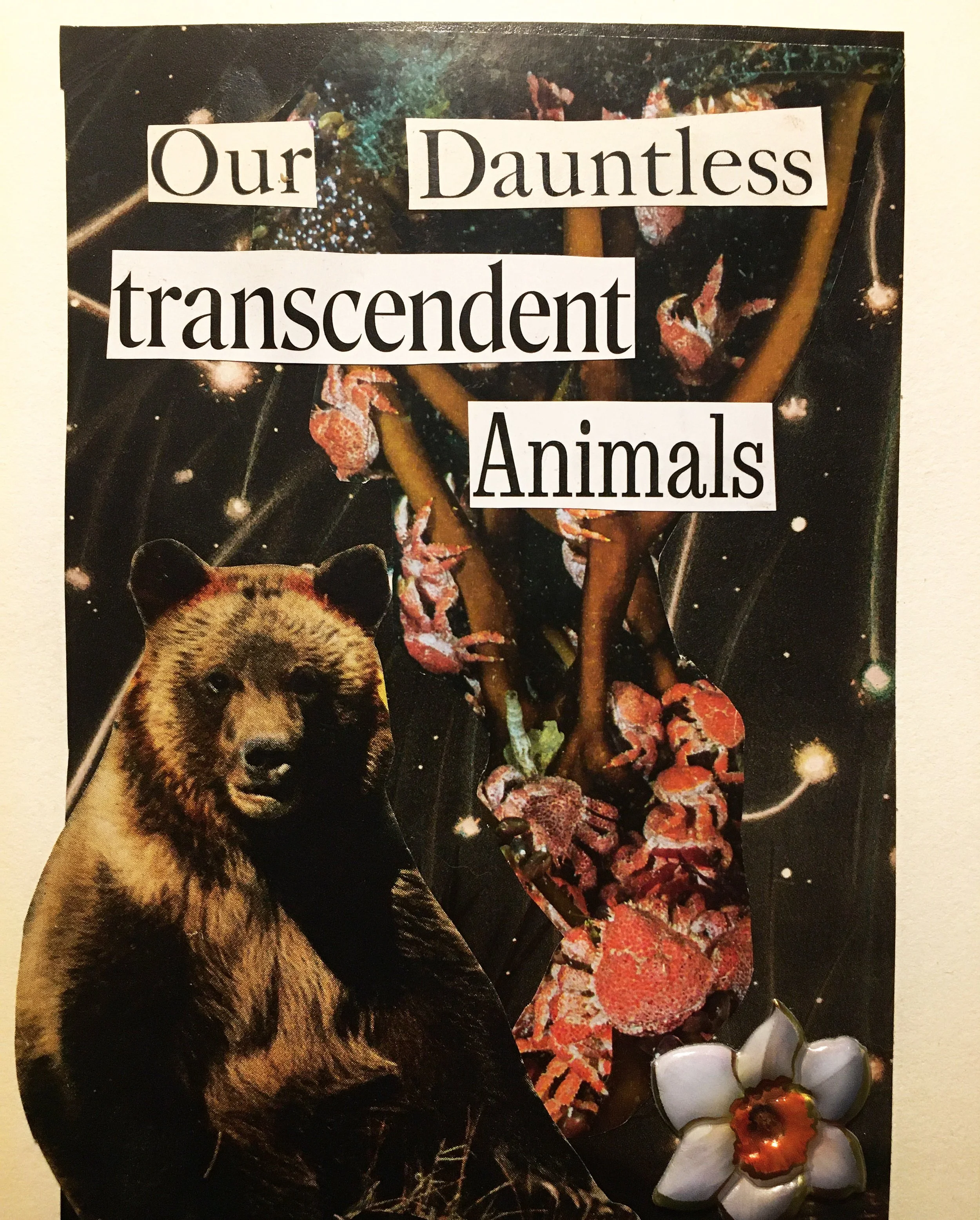 Our Dauntless Transcendent Animals
