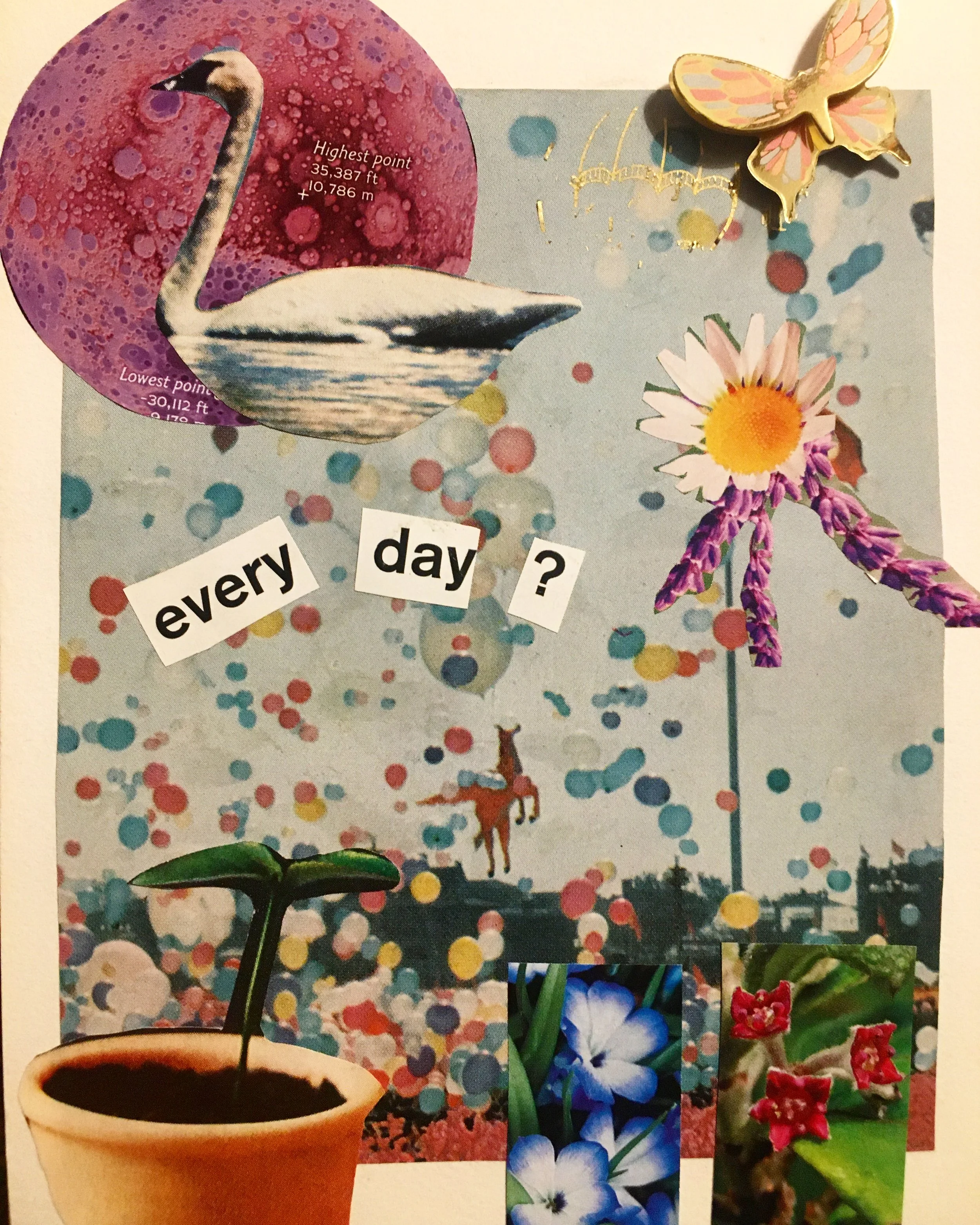 Every Day?