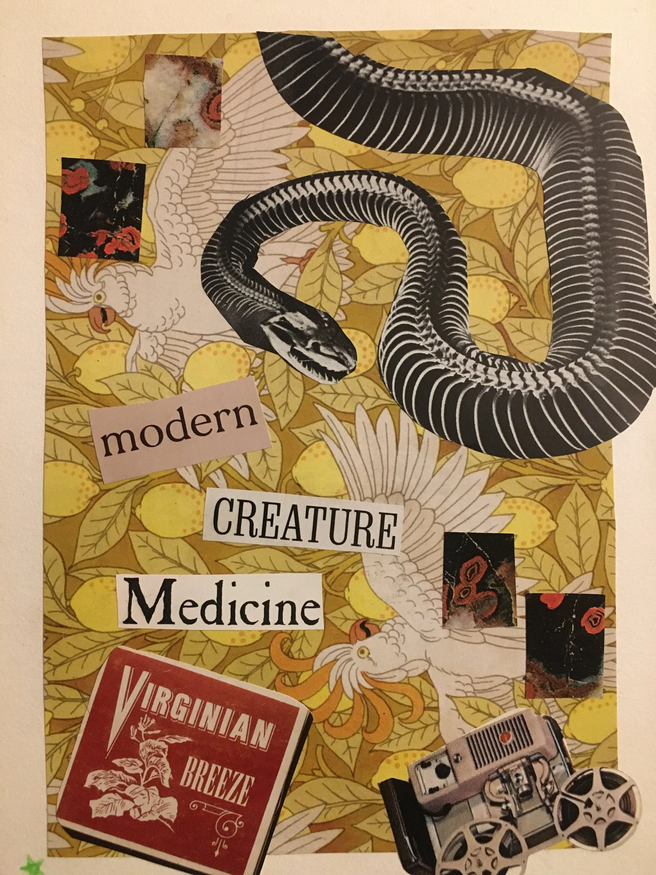 Modern Creature Medicine