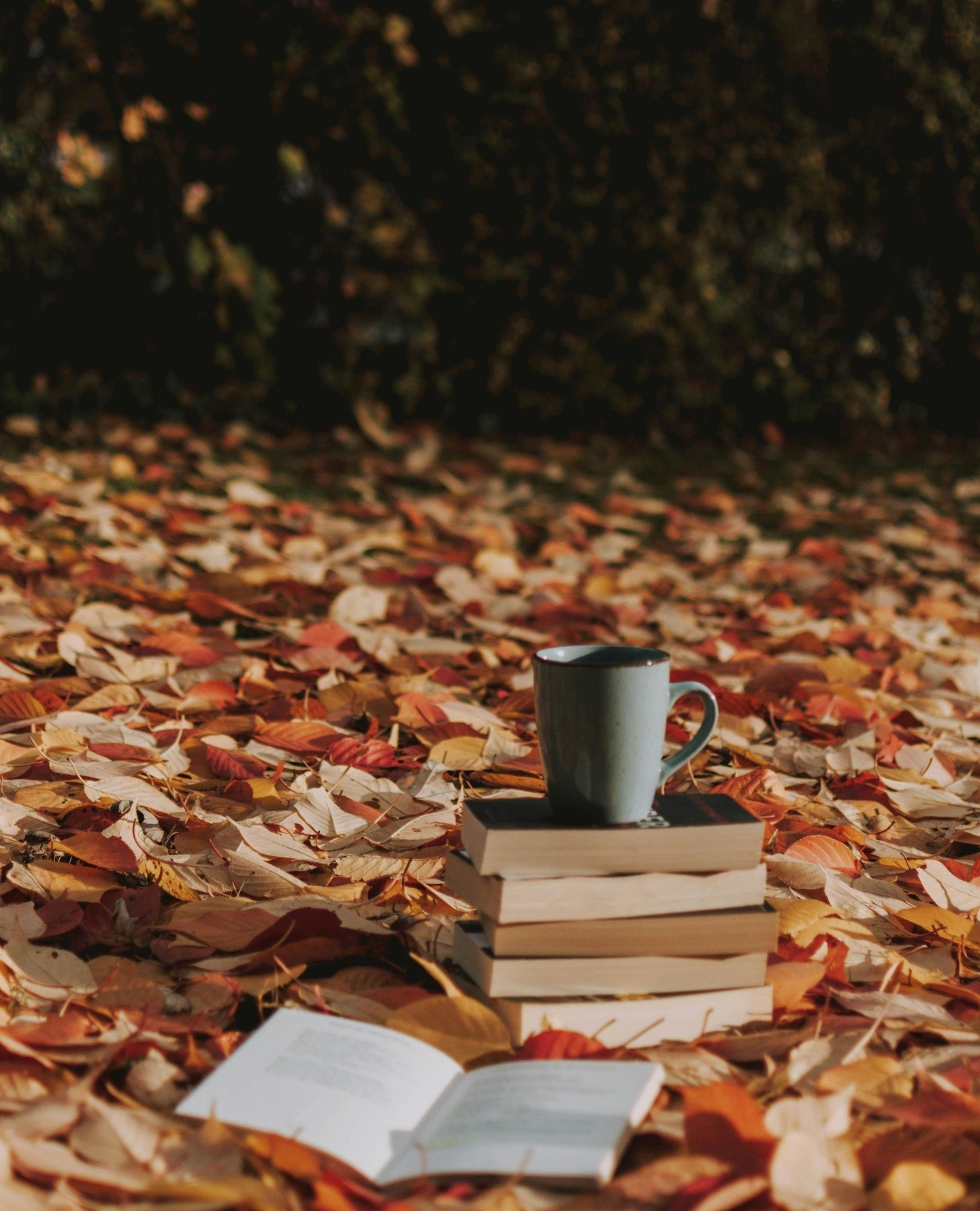 HAPPY NEW YEAR!!!⁠
⁠
As we kick off 2026 wanted to share the annual booklist I compile towards the end of last year to see what people's favorite reads are to share for the new year. Thank you to those of you who shared your titles! Hope you get some