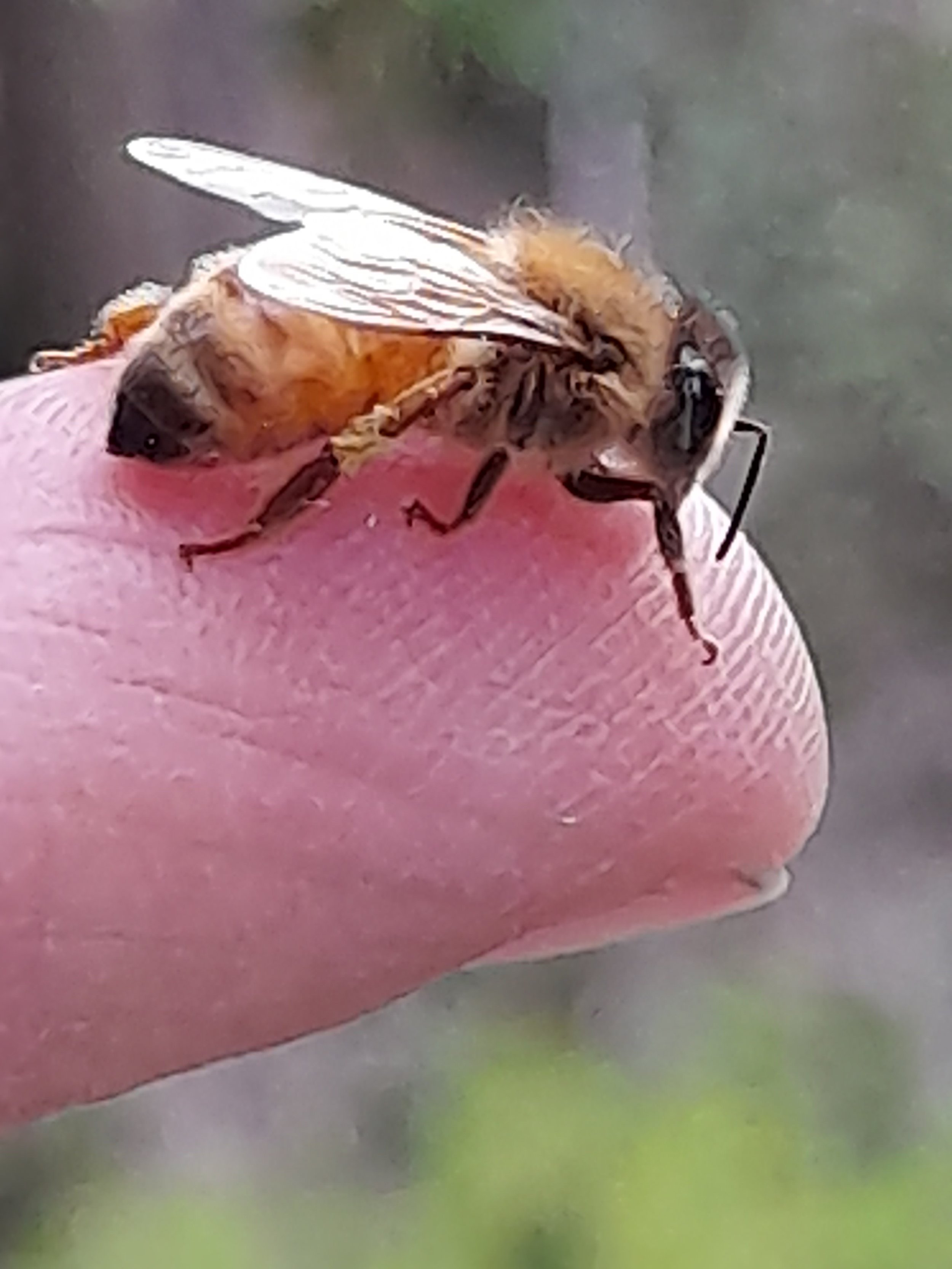 20210915_170357.jpg