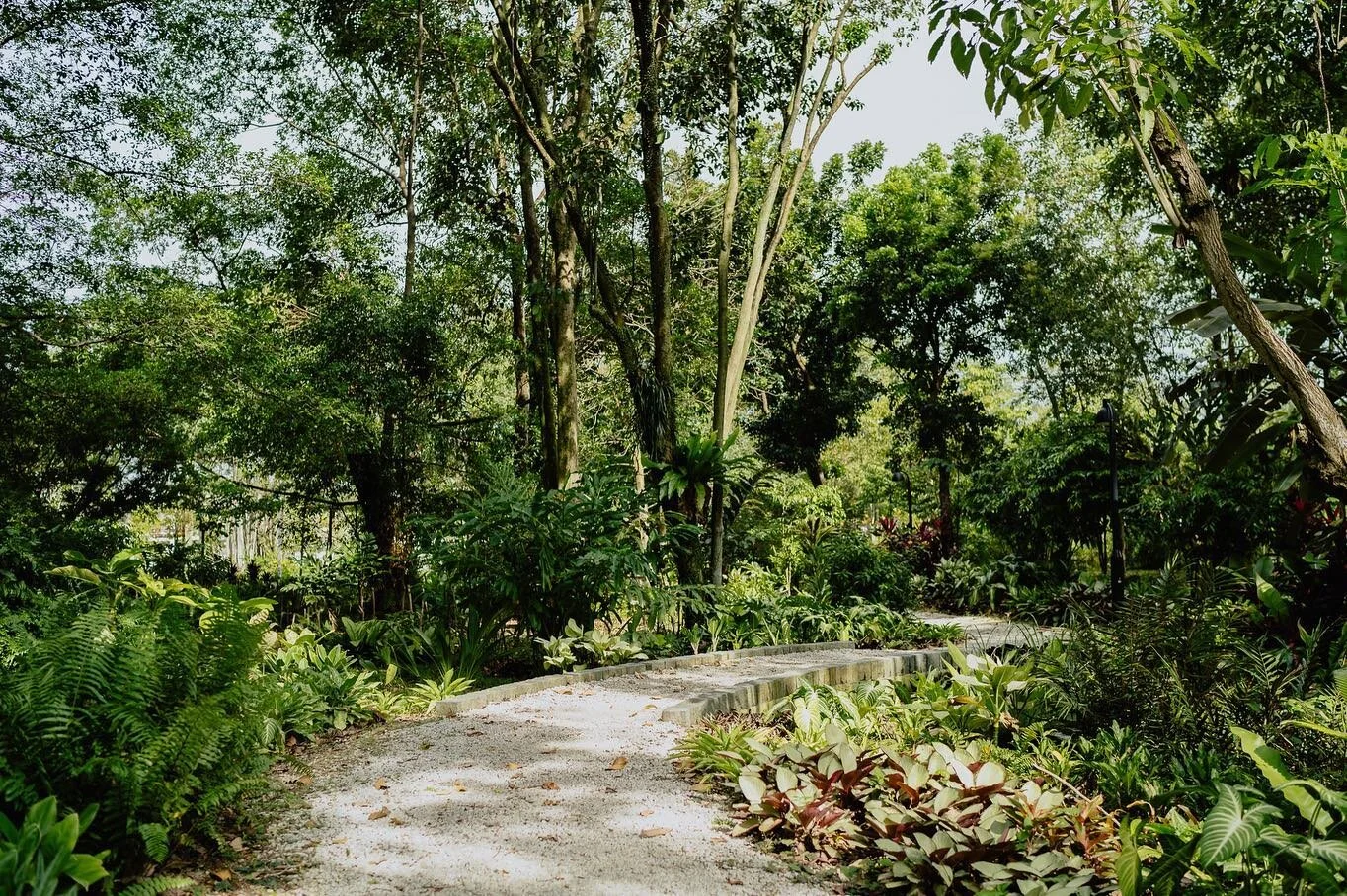 Took a stroll in Jurong Lake Garden over the weekend