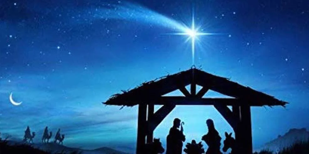Christmas On The Ground