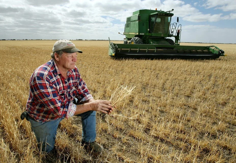 With COVID, the Mental Health of Farmers Has Been Devastating