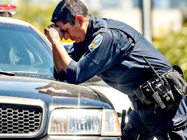 What Is Public Safety Exactly?