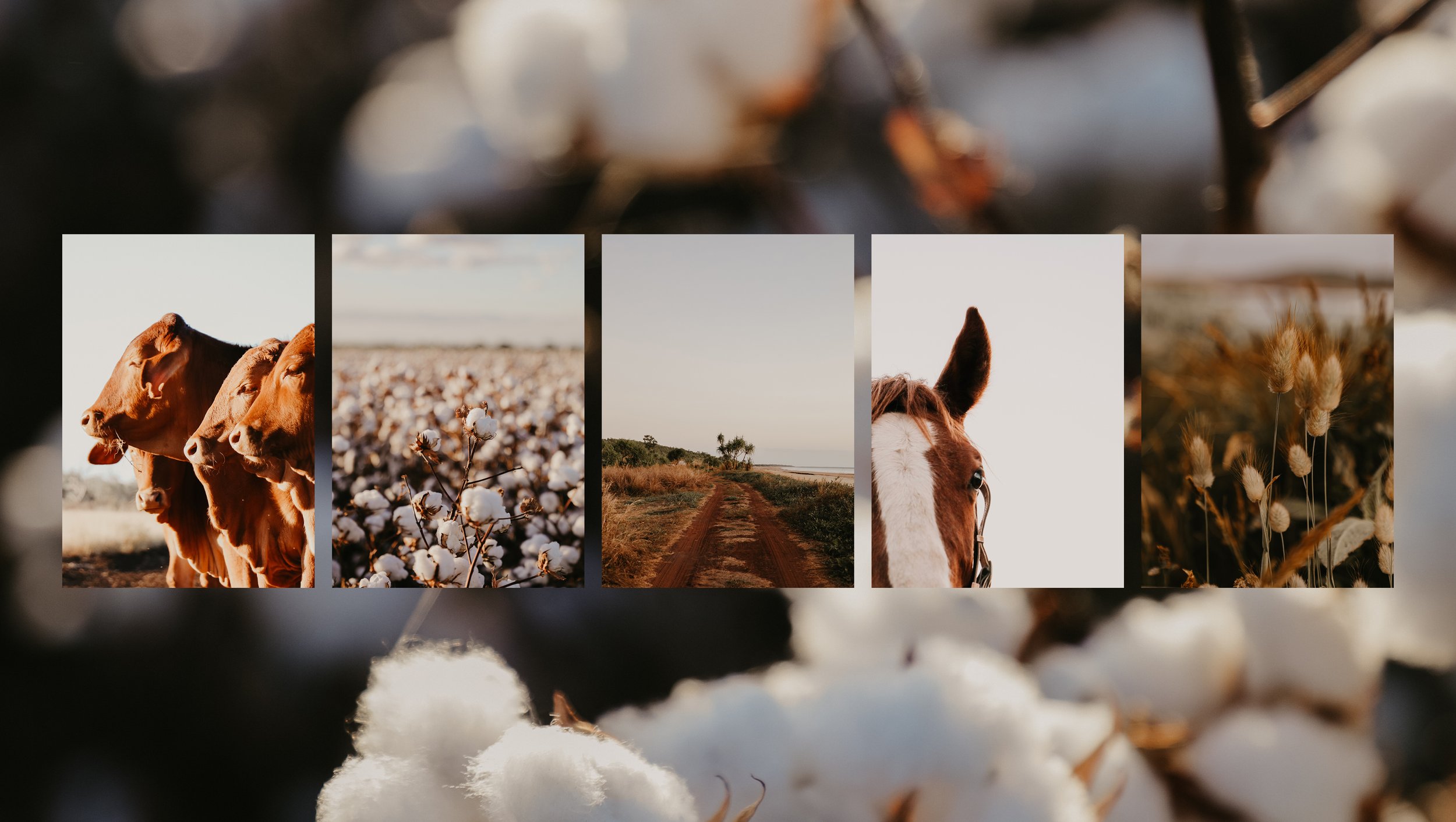 Bronte Kate Photography