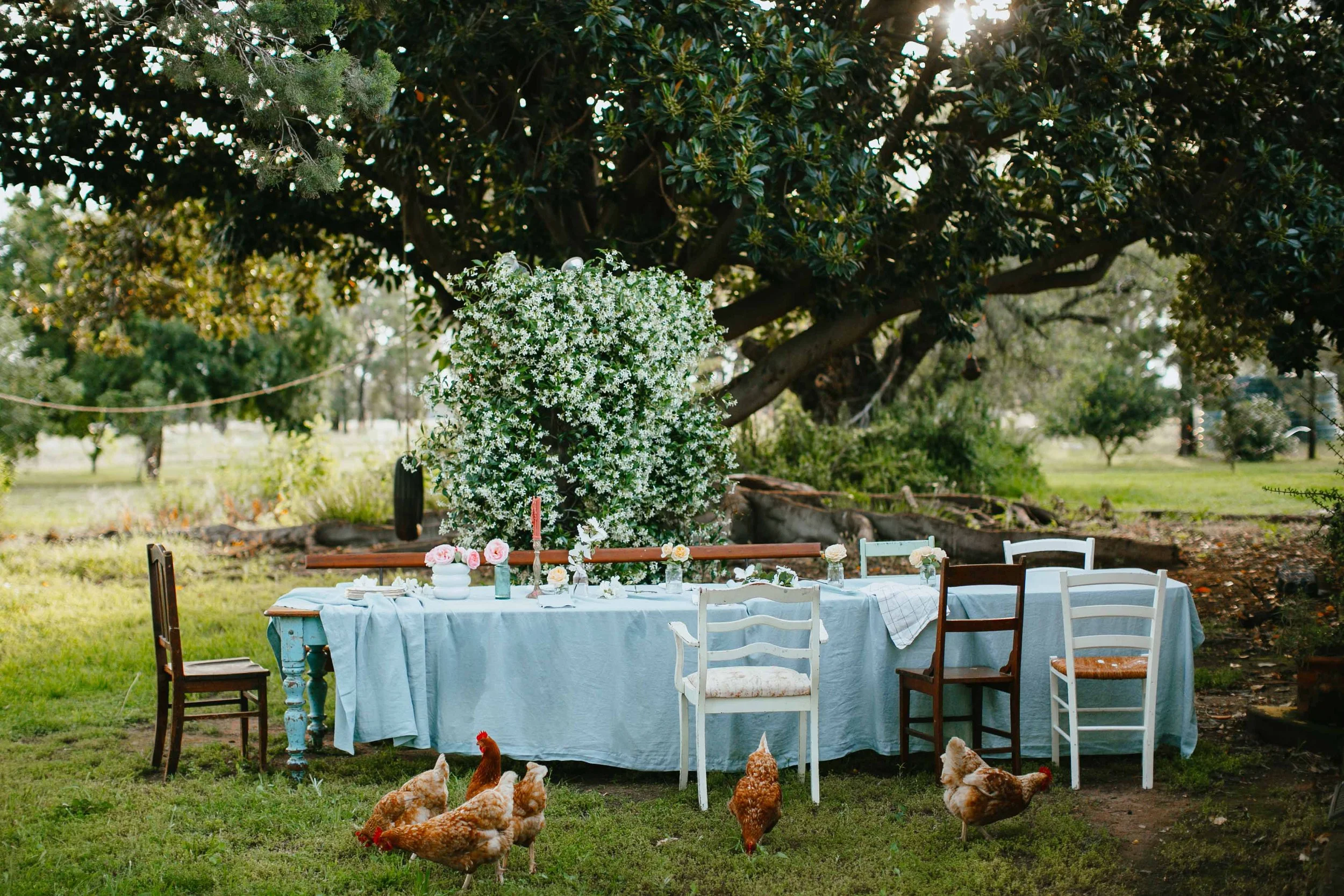 Long Lunch Linen