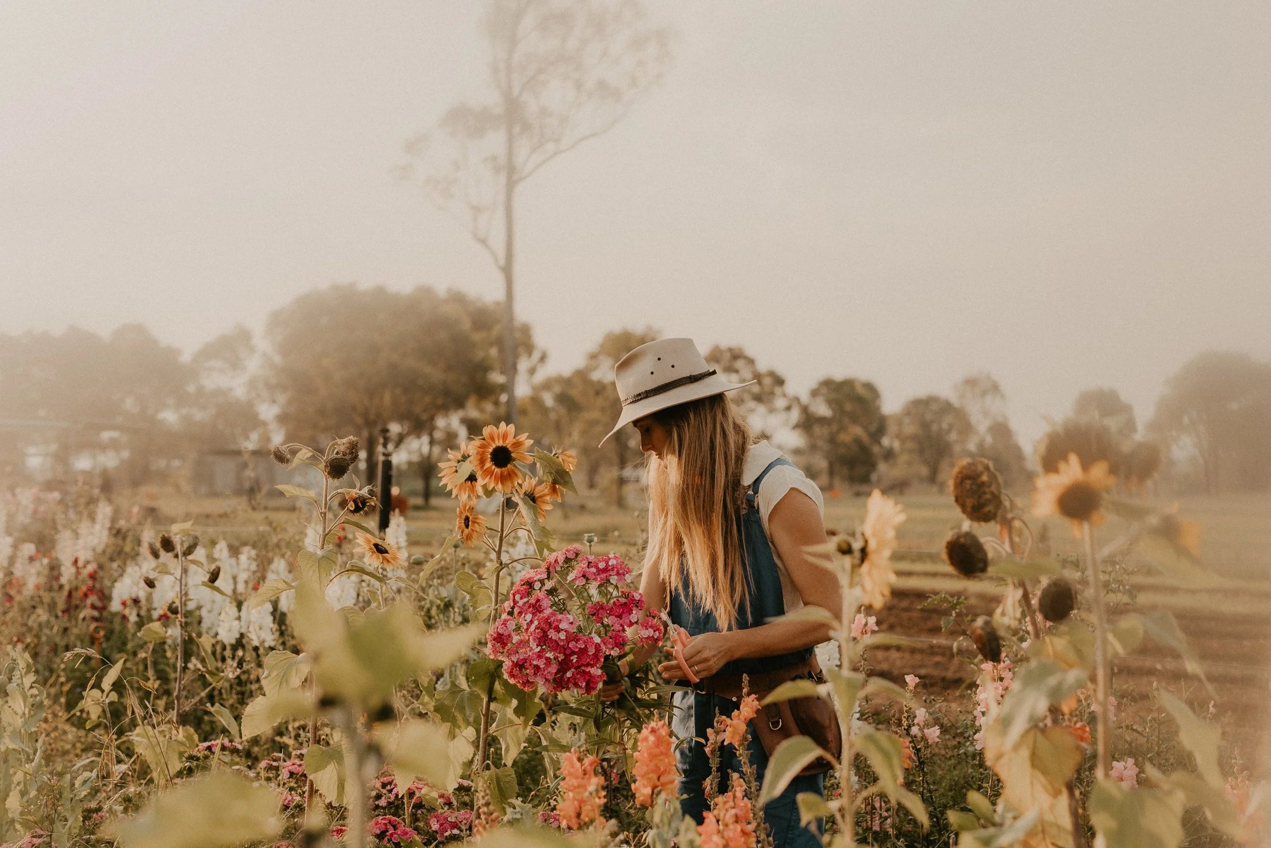 The Whispering Branch