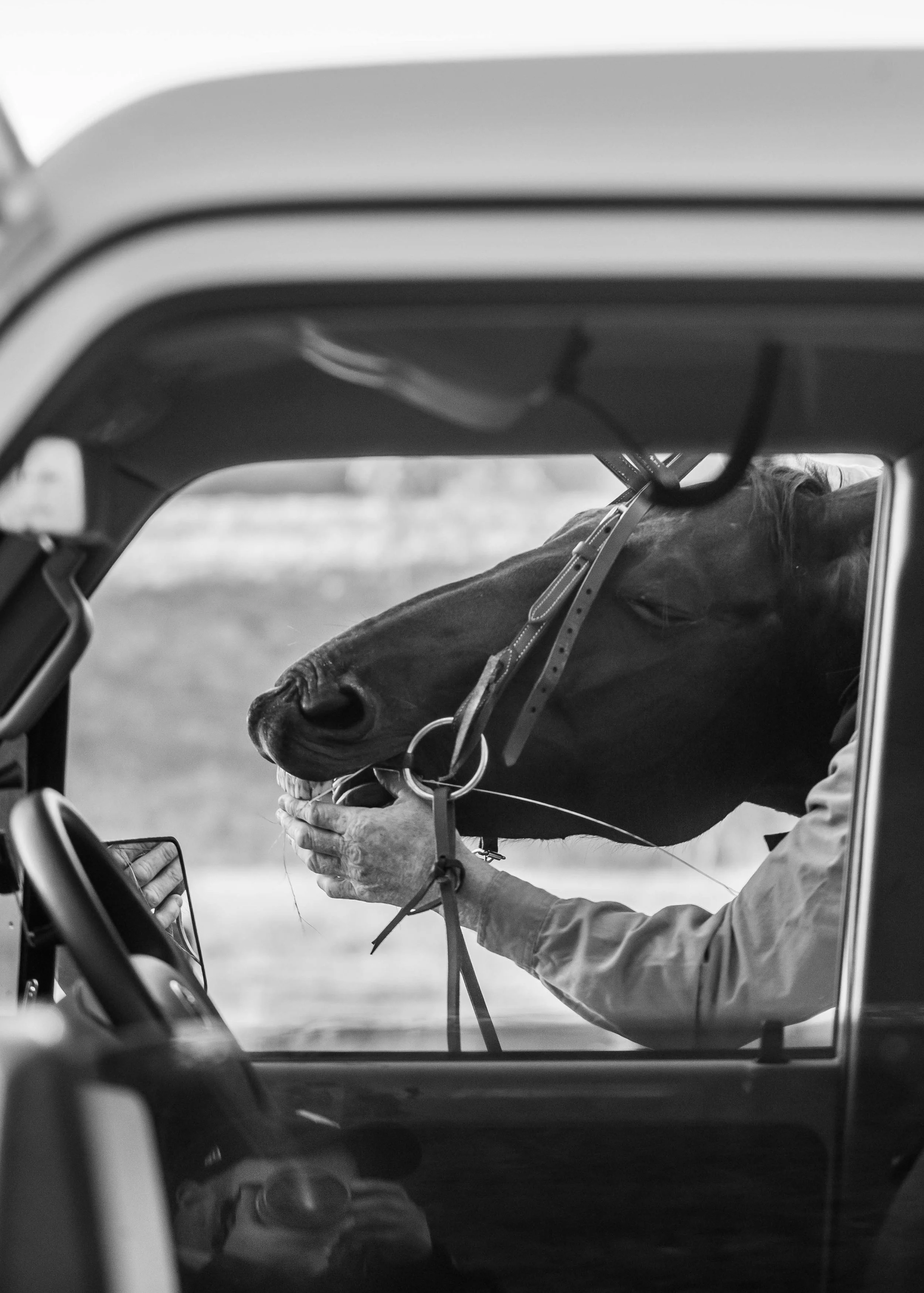 Mike Terry Photography