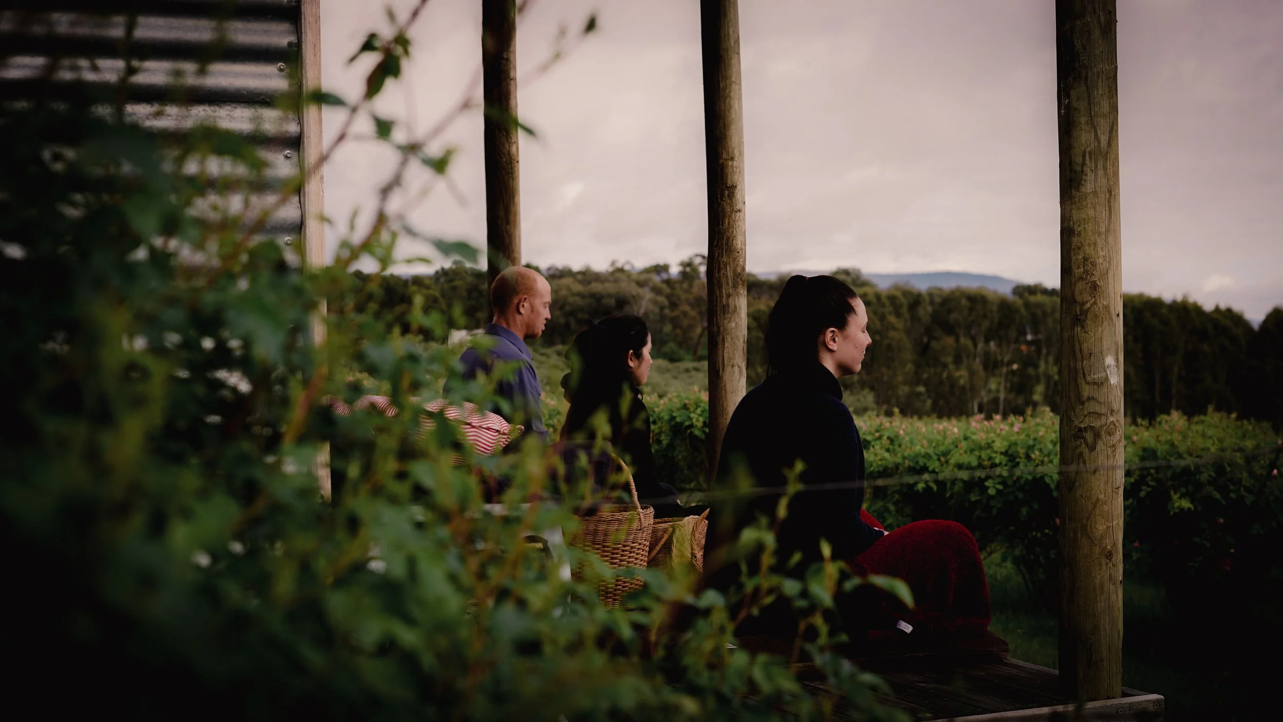 Samaria Rose Farm