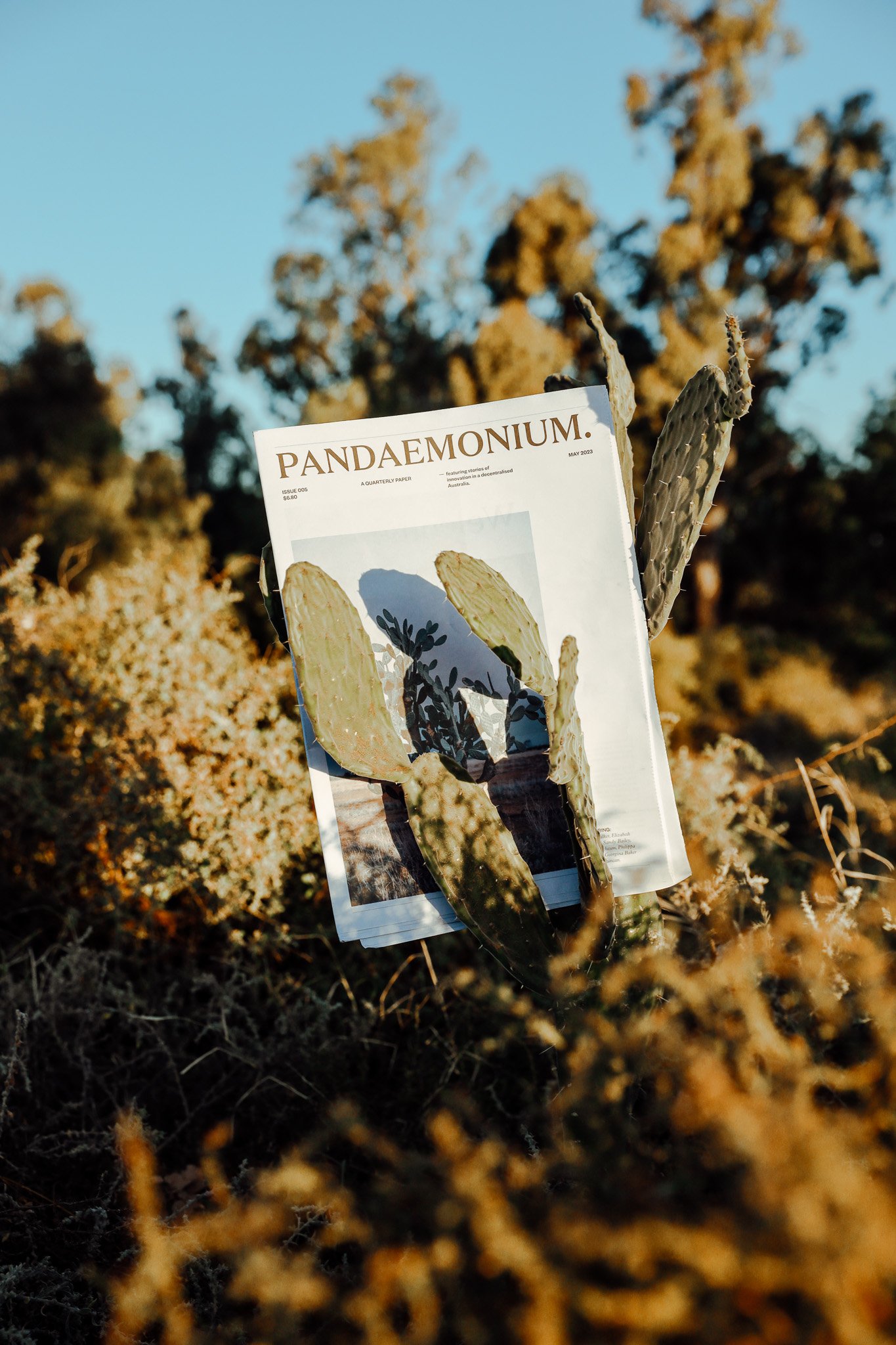 The Pandaemonium Paper